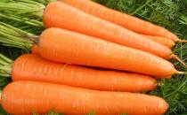 糖尿病人冬季吃什么好？適合糖尿病人的美味食譜推薦