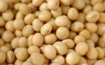 吃什么對乳房好？保護乳房的食物推薦