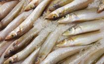 男人吃什么可以壯陽？壯陽補腎的四類食物推薦