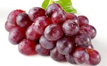 早上吃什么水果最好？不同水果的最佳食用時間