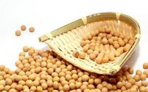 冬季如何進補合適？冬天補脾胃的方法