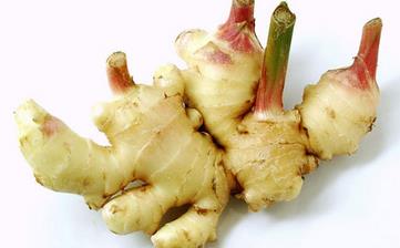 生姜_生姜的功效與作用,生姜蜂蜜水,生姜紅糖水的作用,營養(yǎng)價(jià)值 生姜_生姜的功效與作用,生姜蜂蜜水,生姜紅糖水的作用,營養(yǎng)價(jià)值