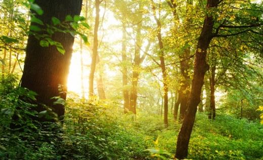 選購家用空氣凈化器有什么誤區？