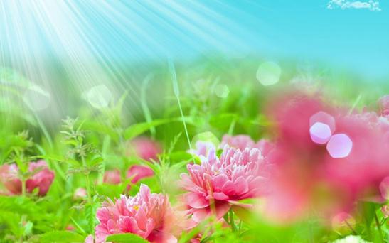 選擇空氣凈化器要看哪些參數？