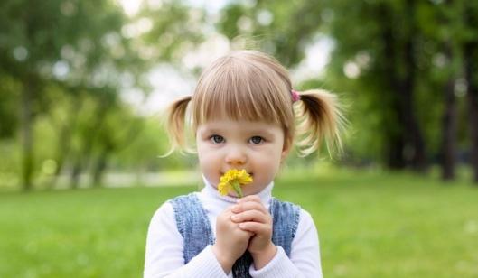 空氣凈化器的監管應該如何跟進？