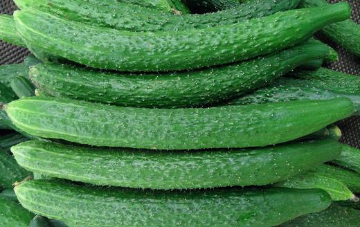 吃什么降低血糖？降低血糖的蔬菜推薦