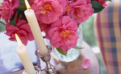 帶空氣凈化功能的自行車？再也不怕霧霾啦！