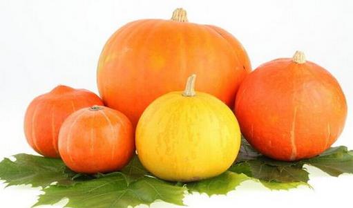 南瓜的營養(yǎng)價值高但不能與6種食物同吃