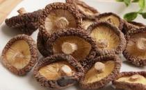 蘑菇養顏功效大 教你7種蘑菇的吃法
