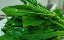 多吃五種食物 讓白領身體更有活力