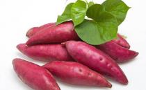 紅薯，世界上性價(jià)比最高的食物