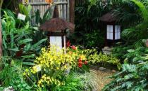 庭院風水設計要點-庭院風水水池如何布置？