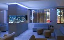 好風水魚缸擺放實例-魚缸怎么擺放才正確？