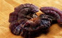 上班族護肝 推薦適合白領養肝的三大方法