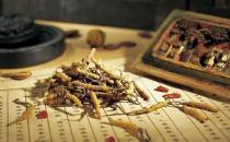 男人吃什么滋補？男人一生的六大補藥