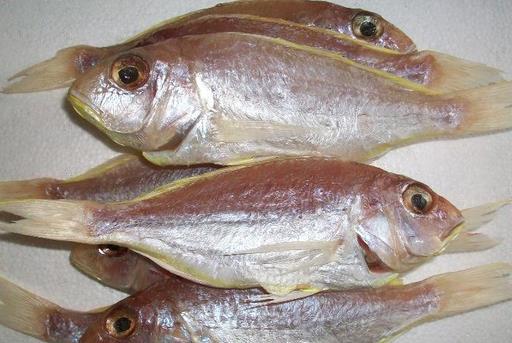 什么是冰鮮食品?如何區(qū)分冰鮮魚和冰凍魚?