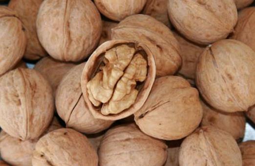 上班族可以吃什么零食？營養零食大搜羅