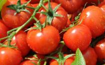 吃什么保護眼睛？白領電腦族護眼飲食盤點