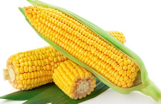 每逢佳節(jié)胖三斤？十種刮油食物越吃越瘦