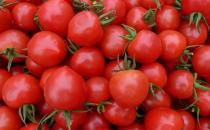 吃什么護(hù)眼？三大系列護(hù)眼食物盤點(diǎn)