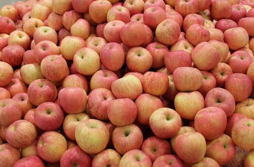 孕婦吃什么能促進胎兒大腦發育？