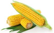 老人多吃八種食品不得血栓 涼白開是老年黃金飲品