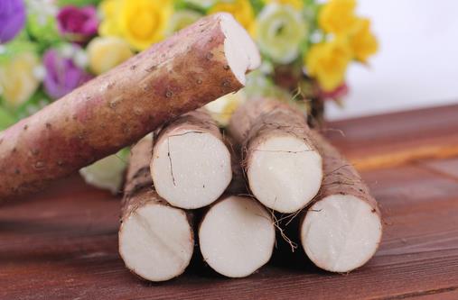 山藥為什么能延年益壽