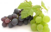 節日飲酒過量怎么辦？十種解酒食物推薦