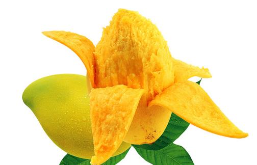 頭發干枯毛躁吃什么水果