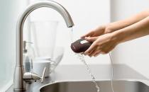 漿果類水果吃不完？教你解決生活瑣碎難題