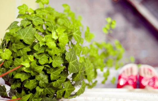 學會這些妙招讓你涼爽過一夏!