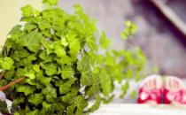 學會這些妙招讓你涼爽過一夏！