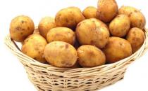 4治療脫發食療方