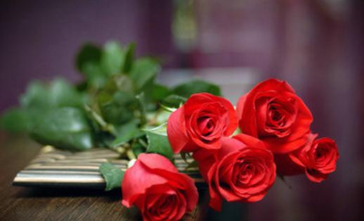 養花的土壤應該用什么？