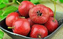 山楂茶為何傷胃 山楂怎么吃比較好？