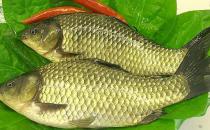 多吃魚(yú)好處多 春季吃哪種魚(yú)最好？