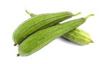 絲瓜上市好美味 細皮嫩肉才最好