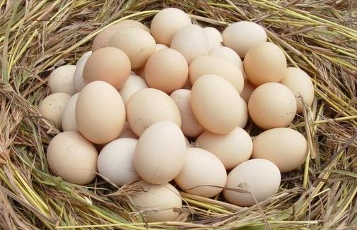 挑選優(yōu)質(zhì)雞蛋 8個小妙招必知