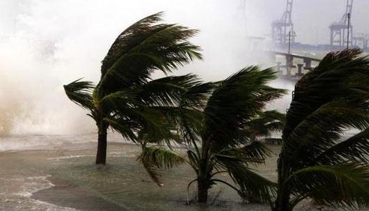 教你如何看懂臺風警報