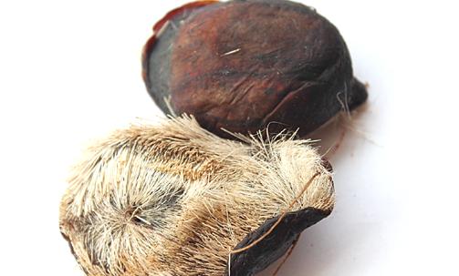 盤點古代最殘忍的避孕方式