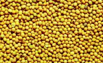 春季女性養生的四大黃金食物