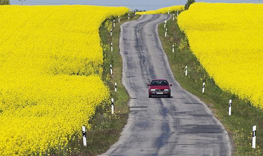 護照申請的審批有什么規定？