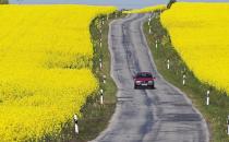 護照申請的審批有什么規定？