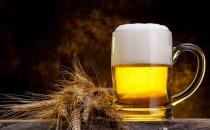 喝啤酒的危害以及注意事項