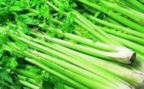 嬰兒濕疹有什么癥狀？春季多吃芹菜可預(yù)防濕疹