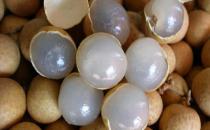 老人多喝帶殼桂圓茶養心