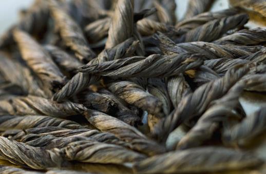 喝苦丁茶有什么好處?如何挑選苦丁茶?