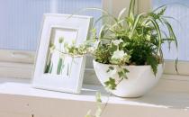 家里總是有灰塵怎么辦？