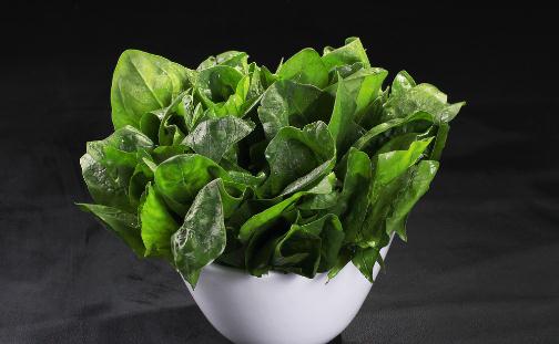 朋友搬家喬遷送什么盆栽植物？