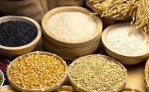 哪些人不適合吃粗糧？吃粗糧要注意什么？